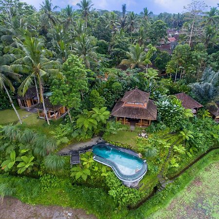 Dewi Tara Haven Bed & Breakfast Payangan Dış mekan fotoğraf