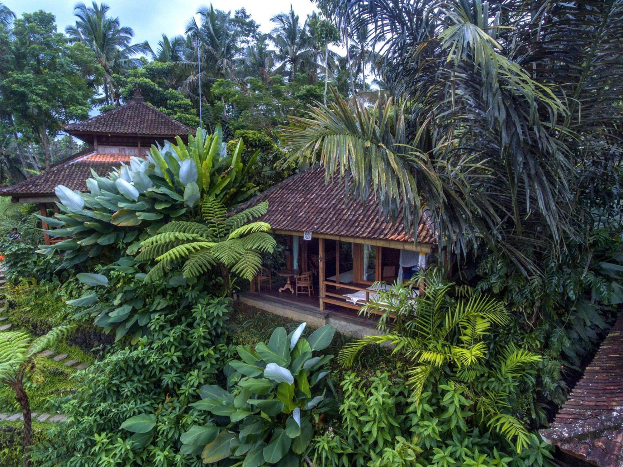 Dewi Tara Haven Bed & Breakfast Payangan Oda fotoğraf