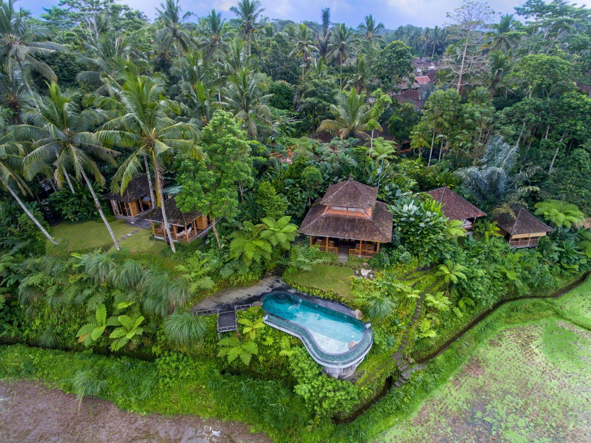 Dewi Tara Haven Bed & Breakfast Payangan Dış mekan fotoğraf