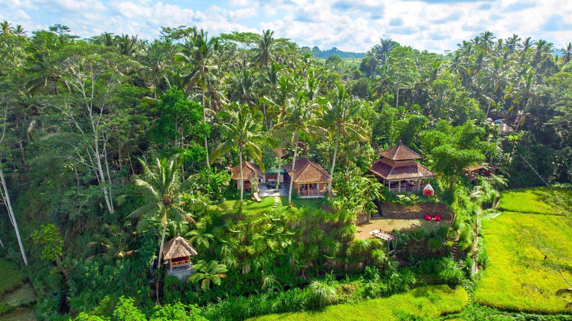 Dewi Tara Haven Bed & Breakfast Payangan Dış mekan fotoğraf