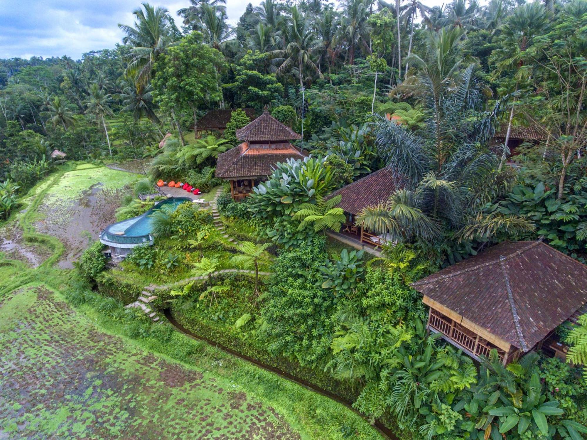 Dewi Tara Haven Bed & Breakfast Payangan Oda fotoğraf