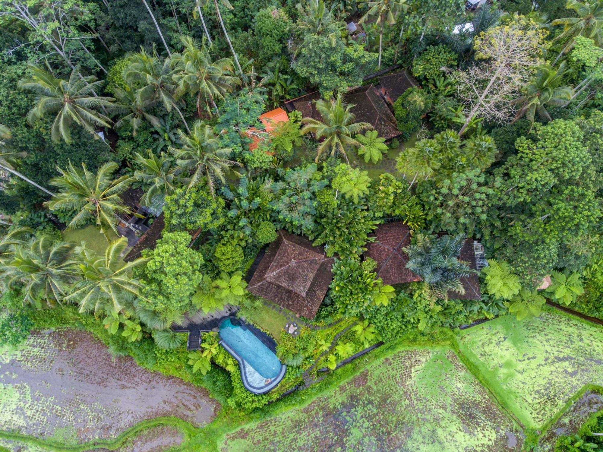 Dewi Tara Haven Bed & Breakfast Payangan Oda fotoğraf
