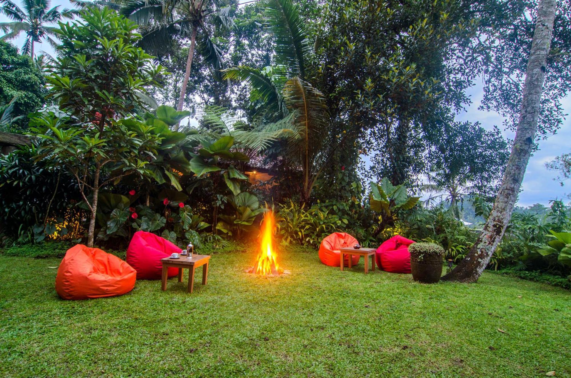 Dewi Tara Haven Bed & Breakfast Payangan Oda fotoğraf