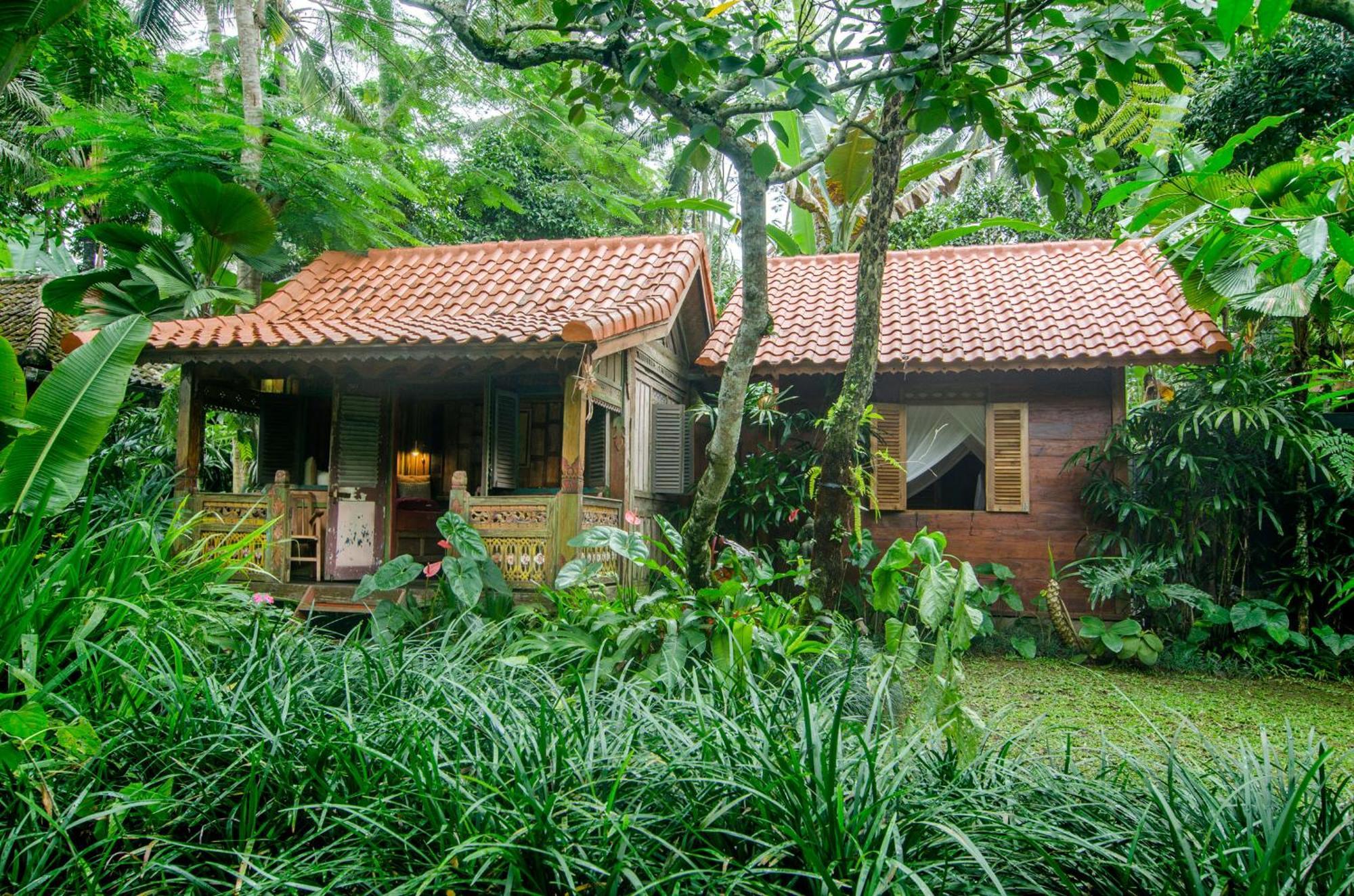 Dewi Tara Haven Bed & Breakfast Payangan Oda fotoğraf